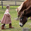 Girls Dixie Ruffle Eyelet Lace Long Puff Sleeve Dress, Pony Gingham - Dresses - 3