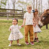Baby Girls Julia Contrast Chambray Trim Tired Dress & Bloomer Set, Tiny Horses - Dresses - 3