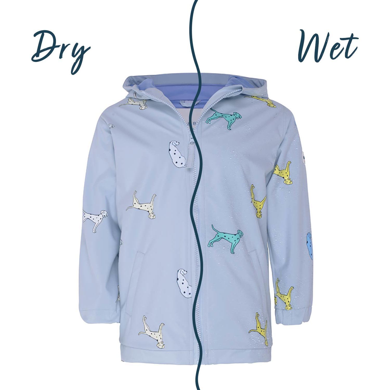 Dalmatian Dog Color Changing Raincoat - Raincoats - 1