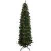 7-Foot Pre-Lit LED Studio Spruce Tree - Trees - 2
