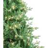7-Foot Pre-Lit Clear Incandescent Jackson Pine Tree - Trees - 2 - thumbnail