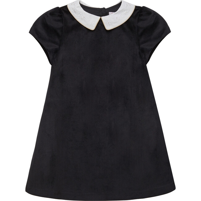 Madeline Lace Velvet Eton Collar A-Line Dress, Black