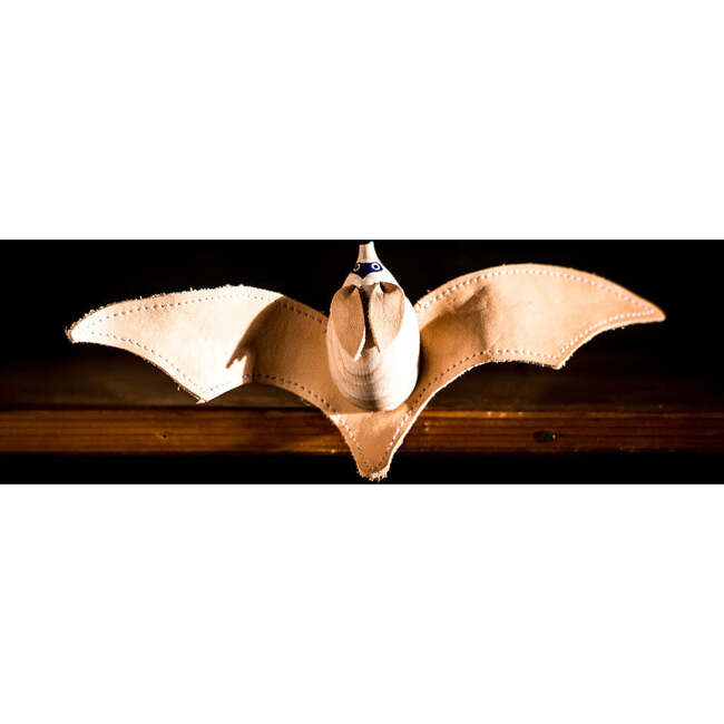 big-eared bat