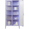 The Collector in Lilac - Storage - 2