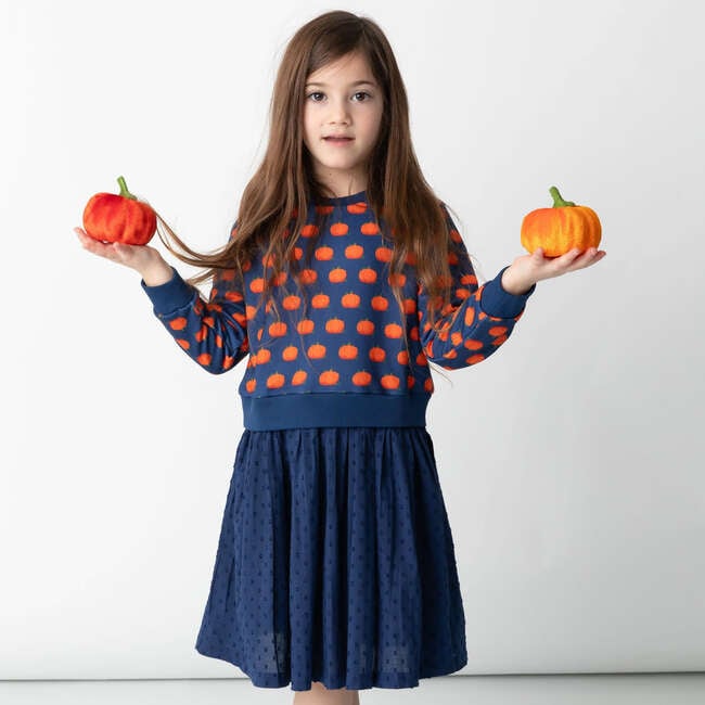 Pumpkin Patch Long Sleeve Sweatshirt And Twirl Skirt Dress, Blue - Mixed Apparel Set - 2