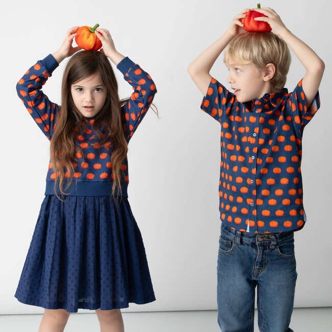 Pumpkin Patch Long Sleeve Sweatshirt And Twirl Skirt Dress, Blue - Mixed Apparel Set - 3