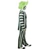 Beetlejuice Adult Costume 1001333 - Costumes - 4