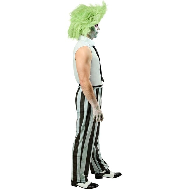 Beetlejuice Adult Costume 1001333 - Costumes - 8