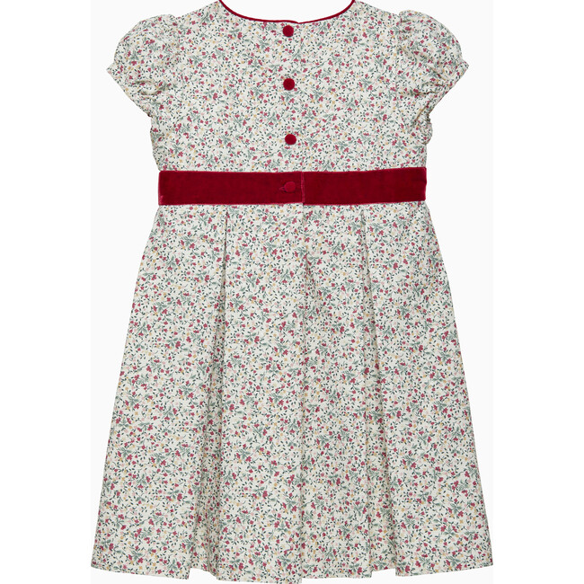 Ruby Floral Velvet Peter Pan Collar Party Dress, Gold - Dresses - 2