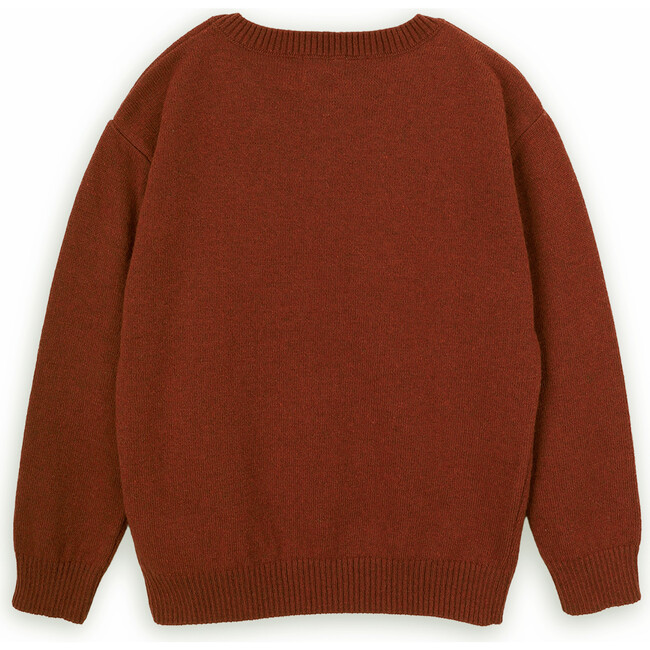 Turtle Skater Merino Wool Knit Round Neck Long Sleeve Sweater, Brown - Sweaters - 3