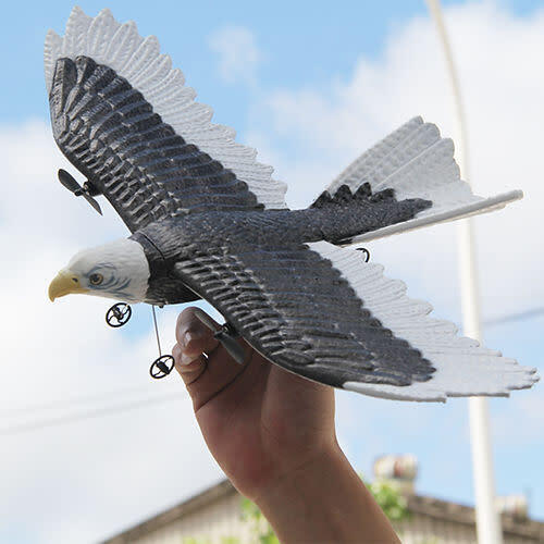 Bald Eagle R/C - STEM Toys - 3