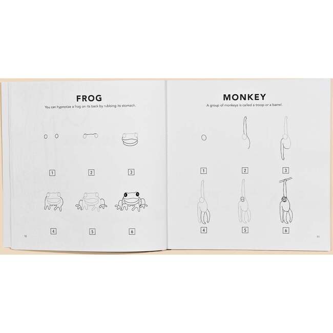 How to Draw All The Animals For Kids