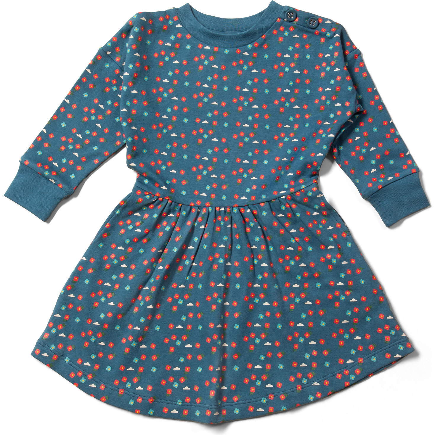 Everyday Long Sleeve Loose Fit Wide Circular Skirt Dress, Blue Flowers -  Little Green Radicals Dresses | Maisonette