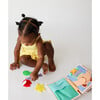 Little Adventurer - Developmental Toys - 7