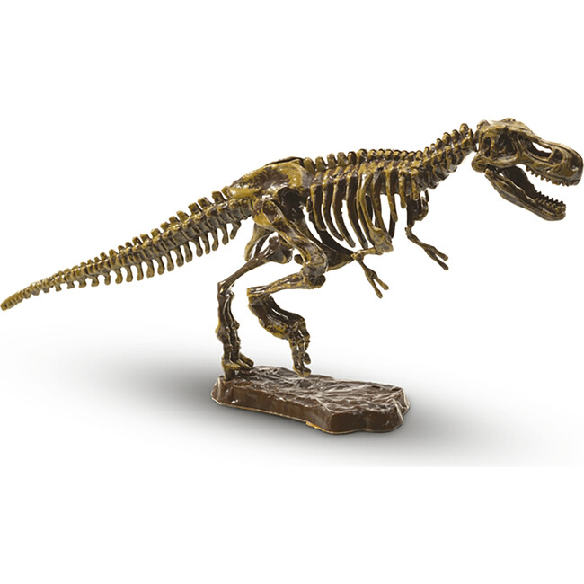 SES Creative: Excavate A T-Rex Skeleton - STEM Dinosaur Dig Kit - STEM Toys - 2