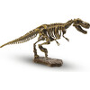 SES Creative: Excavate A T-Rex Skeleton - STEM Dinosaur Dig Kit - STEM Toys - 2