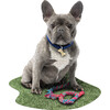 Madd Capp: I Am Frenchie - 550 Piece Puzzle - Dog Shaped Animal Jigsaw - Puzzles - 2