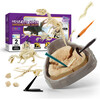 Hape: Science Can: Mesozoic Super Dinosaur Fossil Dig Kit - Woodens - 1 - thumbnail