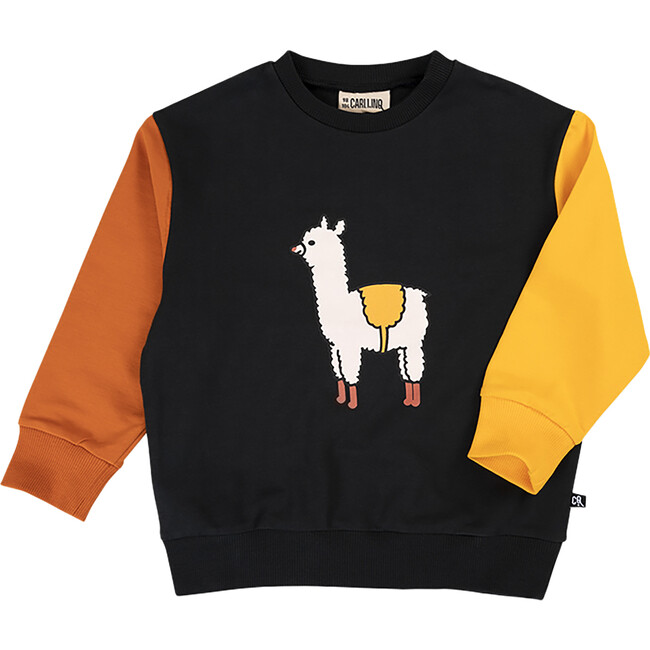 Alpaca Graphic Print Crew Neck Contrast Long Sleeves Sweatshirt, Multicolors