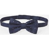 Polka Dot Bowtie, Navy - Bowties & Ties - 1 - thumbnail