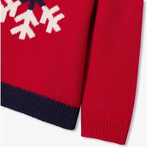 Baby Boy Intarsia Snowflake Sweater, Brick Red - Sweaters - 2