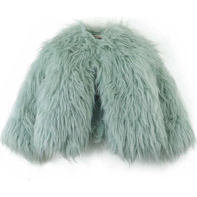 Girls Long Sleeves Fur Jacket, Blue