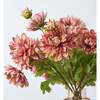 Blush Dahlia Fall Flower Arrangement - Bouquets - 2