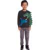 Kids Graphic Sweater, Charcoal Dinosaur - Sweaters - 2