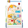 Activity Walker - Push & Pull - 1 - thumbnail