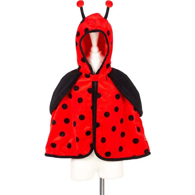 Layla - Cape Ladybug