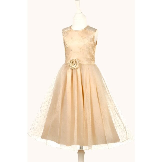 Noraline - Party Dress