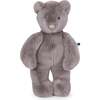 Grey bear / Medium - Arthur & Louison - Plush - 1 - thumbnail