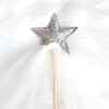 Raven Princess Crown & Wand Set, Silver - Costume Accessories - 7