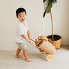 Eric Handcrafted Rattan Luggy With Detachable Tote Bag & Wooden Wheels, Natural - Push & Pull - 2