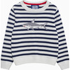 Shark Stripe Sweater, Navy Stripe - Sweaters - 1 - thumbnail
