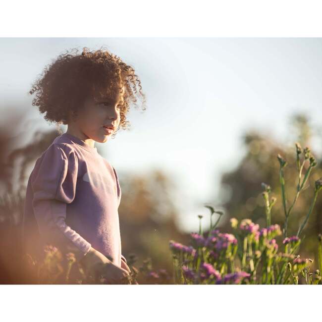 Sweater - Fitted Puffy Sleeve,  Mauve - Sweaters - 3