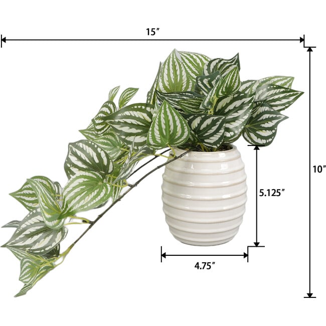 Trailing Ivy In 4.75-Inch Ceramic 4.75X4.75X5, Ivory - Accents - 2