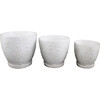 10-Inch, 8-Inch & 6.75-Inch Jungle Flowers Ceramic Pot, Ivory (Set Of 3) - Accents - 1 - thumbnail