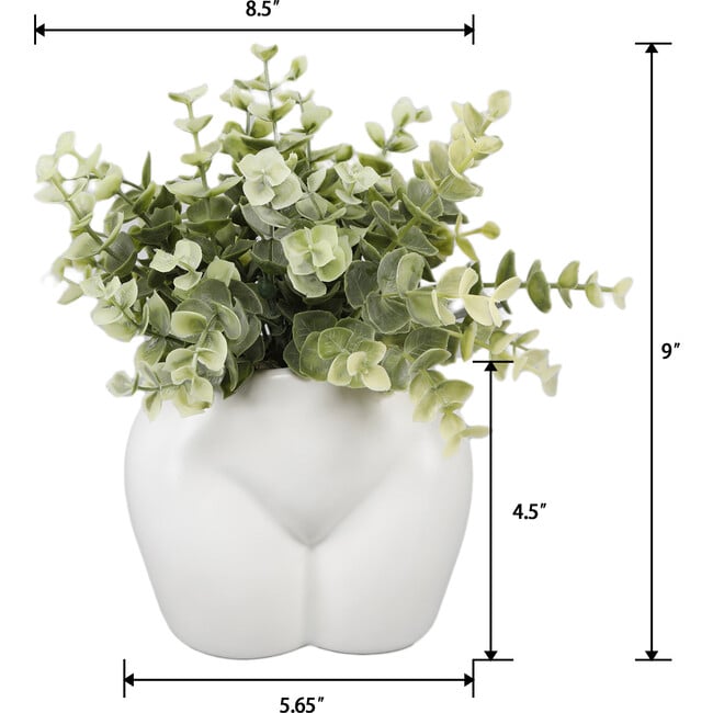 9-Inch Euc In 5.5-Inch Ceramic Vase 5.5X4X4.5, Matte White - Accents - 2