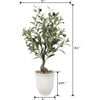 25.5-Inch Olive Tree In 6-Inch Texture Ceramic 6X6X6.25, Ivory - Accents - 1 - thumbnail