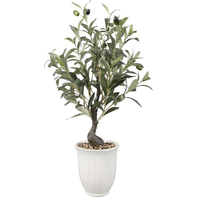 25.5-Inch Olive Tree In 6-Inch Texture Ceramic 6X6X6.25, Ivory - Accents - 2