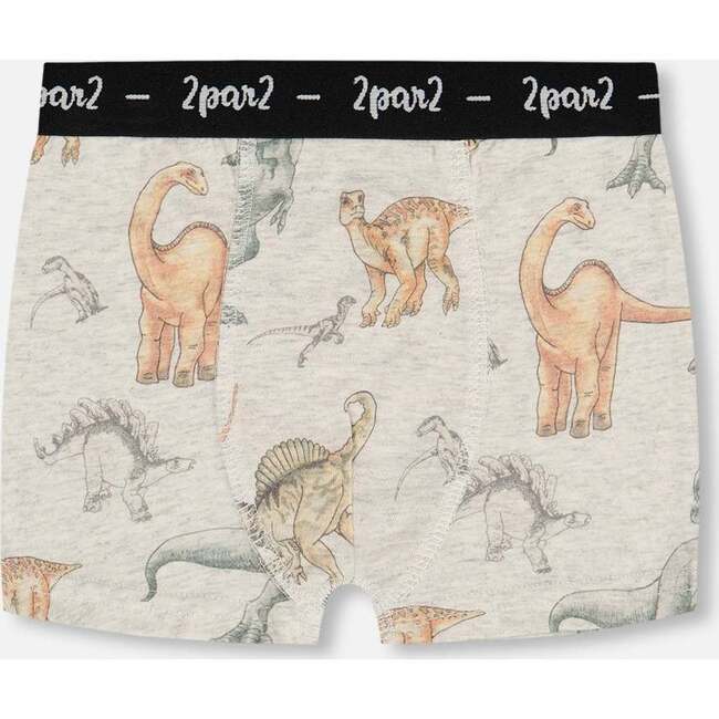 Organic Cotton Boxer Shorts, Dinosaur On Mottled And Tan Background