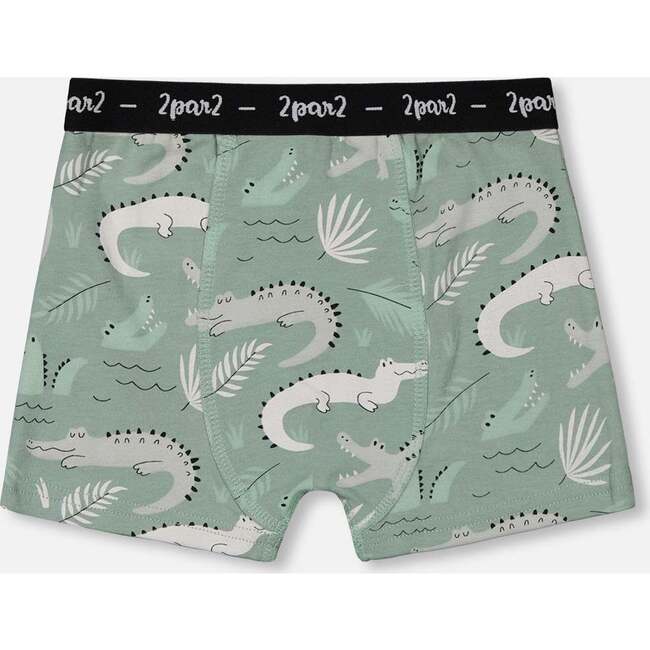 Organic Cotton Boxer Shorts, Light Sage And Gray Crocodile