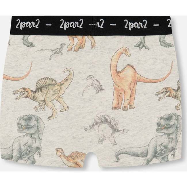 Organic Cotton Boxer Shorts, Dinosaur On Mottled And Tan Background - Underwear - 2