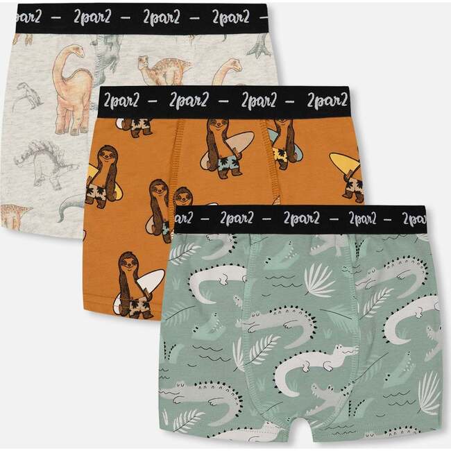 Organic Cotton Boxer Shorts (Pack Of 3), Multi