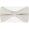 Bow Tie, Light Taupe Striped - Bowties & Ties - 1 - thumbnail
