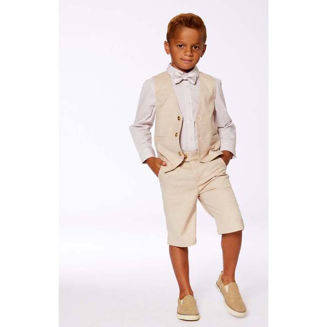 Bow Tie, Light Taupe Striped - Bowties & Ties - 3