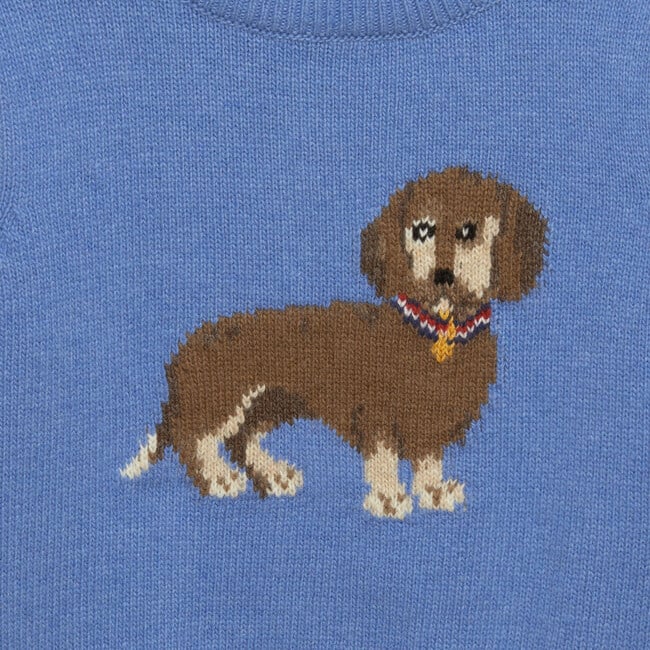 Little Dachshund Dog Sweater, Sky Blue - Sweaters - 3