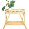 Sage Planter Handcrafted Rattan Display Rack - Storage - 1 - thumbnail