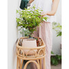 Sage Planter Handcrafted Rattan Display Rack - Storage - 3